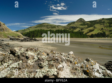 Le Bons Bay, Banks Peninsula, Neuseeland Stockfoto