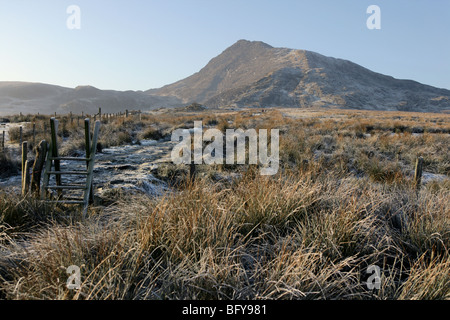 Der Blick in Richtung Moel Siabod Stockfoto