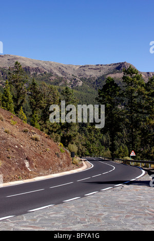 DER WEG ZUM EL TEIDE VORBEI DURCH DEN WALD CORONA VOR DEM EINTRITT IN DEN NATIONALPARK. TENERIFFA KANARISCHE INSELN. Stockfoto