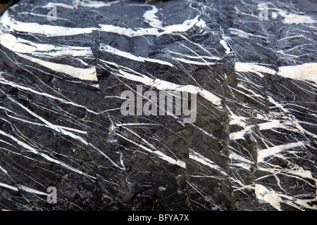 Quarzadern in den Felsen bei Druse in der Nähe von Crackington Haven; Cornwall Stockfoto