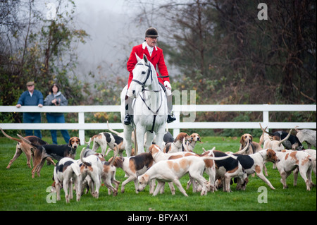 Fuchsjagd, Segen der Hunde, Elkridge Harford Hunt club Stockfoto