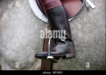 Fuchsjagd, Segen der Hunde, Elkridge Harford Hunt club Stockfoto