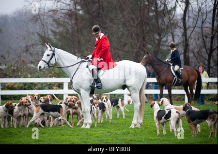 Fuchsjagd, Segen der Hunde, Elkridge Harford Hunt club Stockfoto