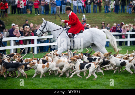 Fuchsjagd, Segen der Hunde, Elkridge Harford Hunt club Stockfoto