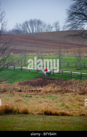 Fuchsjagd, Segen der Hunde, Elkridge Harford Hunt club Stockfoto