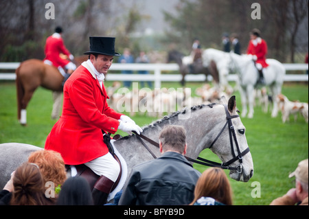 Fuchsjagd, Segen der Hunde, Elkridge Harford Hunt club Stockfoto