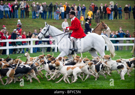 Fuchsjagd, Segen der Hunde, Elkridge Harford Hunt club Stockfoto