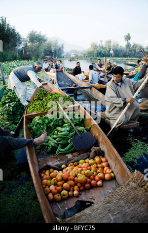 Schwimmende Gemüsemarkt in der Mitte des Dal-See in Srinagar, Kaschmir, Indien. Stockfoto
