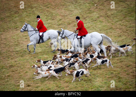 Fuchsjagd, Segen der Hunde, Elkridge Harford Hunt club Stockfoto