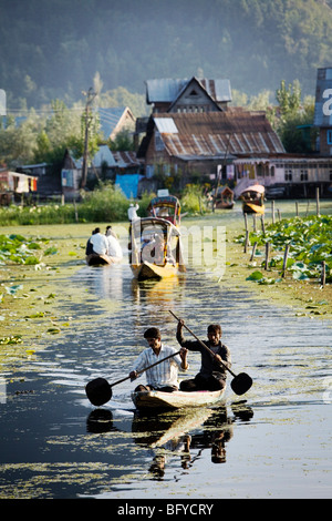 Menschen können bewegen Dal-See in Srinagar, Kaschmir, Indien, nur mit Kanus oder Taxi (Shikara) Boote. Stockfoto