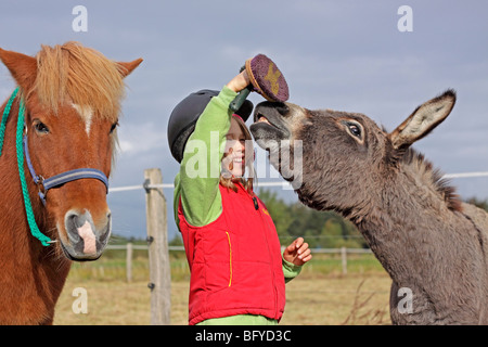 Porträt eines jungen Mädchens mit einem Esel und ein pony Stockfoto