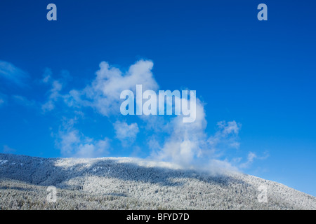 Neuschnee und niedrig hängenden Wolke über Berg, Montana, USA Stockfoto