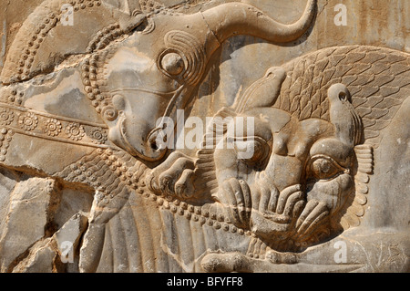 Flachrelief eines kämpfenden Stier und Löwen bei der achämenidischen archäologischen Stätte von Persepolis, UNESCO-Weltkulturerbe, Persien, Stockfoto