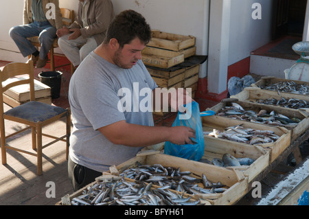 Griechenland. Zakynthos. Zante. Griechische Insel. Oktober. Fisch wird direkt vom Menschen aus Booten verkauft, die im Hafen von Zakinthos liegen. Stockfoto