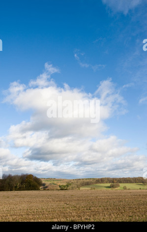 Chilterns Landschaft Landschaft Blick talwärts Schach Bucks UK Stockfoto