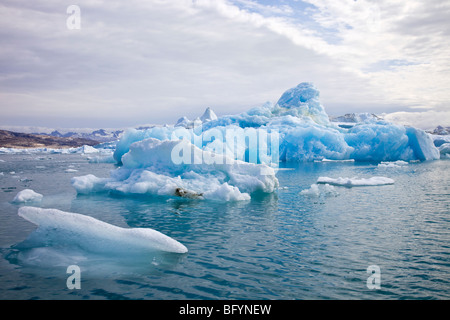 Eisberge im Sermilik Fjord, Ammassalik Bezirk, Ostgrönland, Grönland, Dänemark Stockfoto