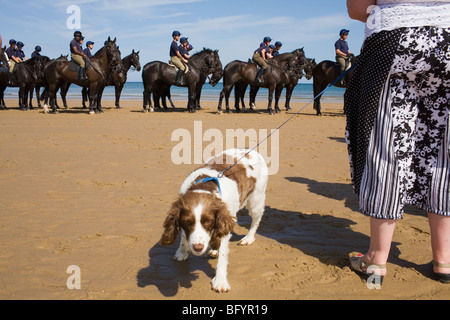 Es steht eine Frau in einem gemusterten Kleid mit ihrem Hund am Strand beobachten eine Reihe von dunklen Pferde und ihre Halterung. Stockfoto