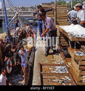 Historisches 1985 Archiv Portimao Algarve Hafenkörbe voller Sardinen Entladen und vom Fischerboot zum Kai ins Eis geworfen Ablage 1980s Stockfoto