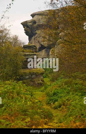 Brimham Rocks sind eine Reihe von Felsformationen in Nidderdale verteilt 50 plus Hektar Brimham Moor. Stockfoto