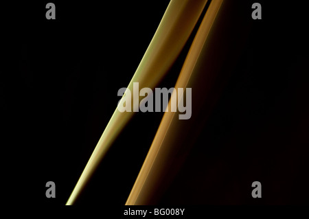 Farbiger Rauch, verschiedene Formen Figuren und Farben auf schwarzem Hintergrund. Stockfoto