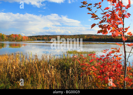 Adirondacks See Durant, Blue Mountain Lake, New York Stockfoto