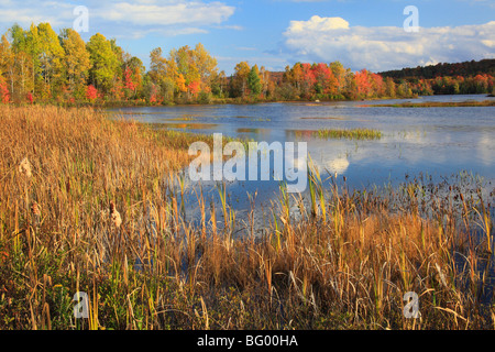 Adirondacks See Durant, Blue Mountain Lake, New York Stockfoto