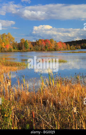 Adirondacks See Durant, Blue Mountain Lake, New York Stockfoto