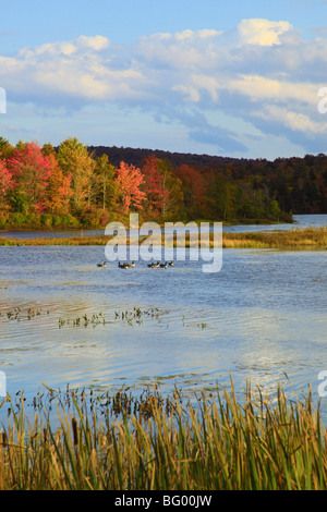 Adirondacks See Durant, Blue Mountain Lake, New York Stockfoto