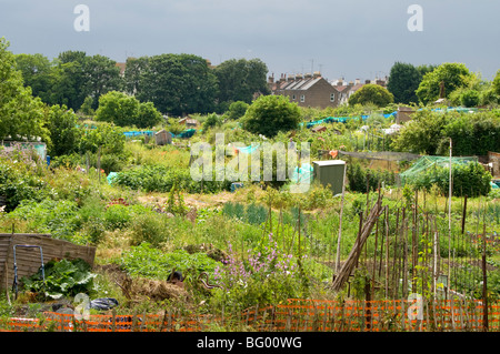 Zuteilung Parzellen mit terrassenförmig angelegten Gehäuse im Hintergrund und einen stürmischen Himmel Stockfoto