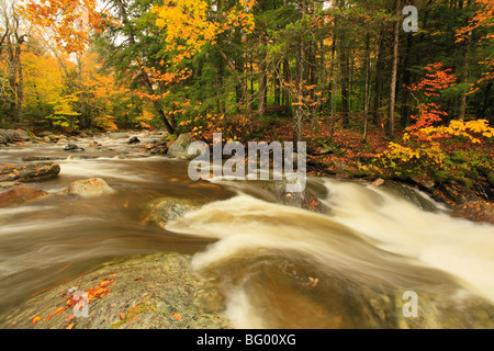Bach an Texas fällt, Breadloaf, Vermont Stockfoto