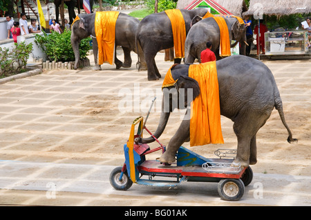 Samphran Elefant Boden & Zoo Nakhon Pathom Provinz Thailand Stockfoto