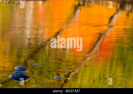 Herbst Reflexionen in Little White River, Iron Bridge, Elliot Lake, Ontario, Kanada Stockfoto