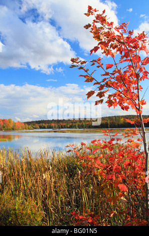 Adirondacks See Durant, Blue Mountain Lake, New York Stockfoto