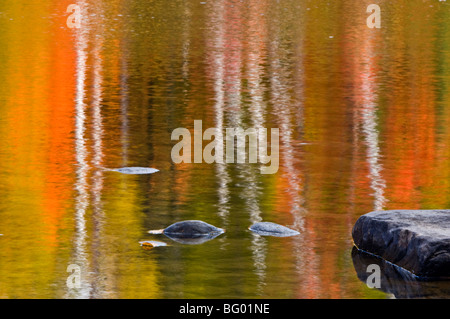 Herbst Reflexionen in Little White River, Iron Bridge, Elliot Lake, Ontario, Kanada Stockfoto