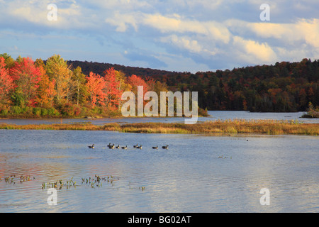 Adirondacks See Durant, Blue Mountain Lake, New York Stockfoto