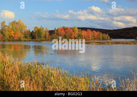 Adirondacks See Durant, Blue Mountain Lake, New York Stockfoto