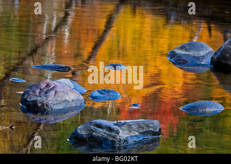 Herbst Reflexionen in Little White River, Iron Bridge, Elliot Lake, Ontario, Kanada Stockfoto