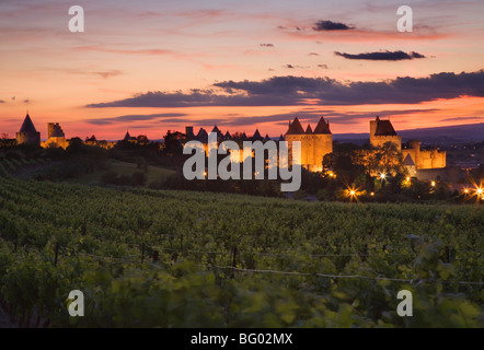 Carcassonne in der Dämmerung aus den Weinbergen außerhalb der Stadt. Languedoc-Roussillon. Frankreich. Stockfoto