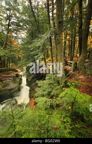 Texas-Fälle, Breadloaf, Vermont Stockfoto