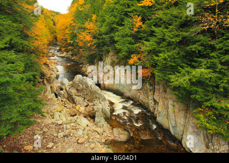 Mill River, Clarendon Schlucht, Appalachian Trail, Osten Clarendon, Vermont Stockfoto