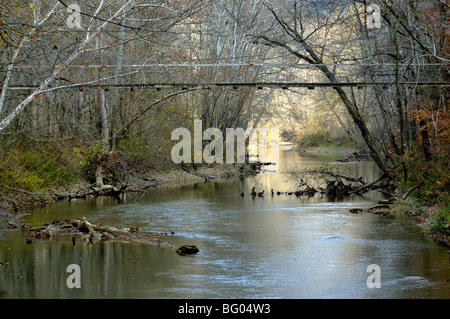 Sheltowee Trace Hängebrücke im Red River Gorge geologischen Bereich von Kentucky, USA. Stockfoto