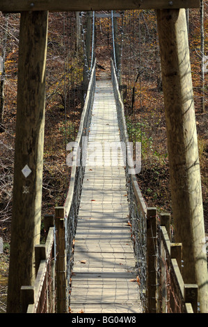 Sheltowee Trace Hängebrücke im Red River Gorge geologischen Bereich von Kentucky, USA. Stockfoto