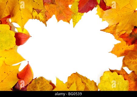 Rahmen aus Herbstlaub Stockfoto