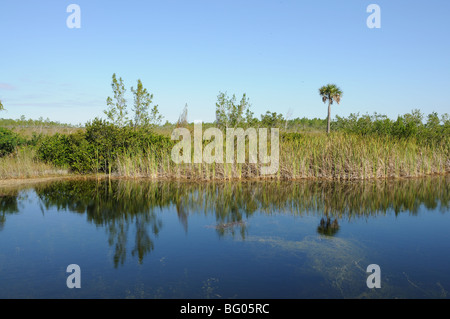 Landschaft in den Everglades Nationalpark, Florida USA Stockfoto