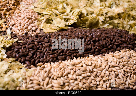 Hellem Malz, Crystal malt, Schokolade Malz, Weizenmalz und Aromahopfen. Stockfoto