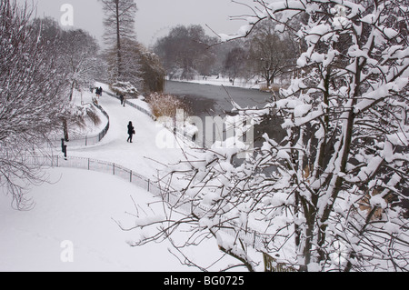 Schneebedeckte Bäume während eines Schneesturms in St. James Park, London, England, Vereinigtes Königreich, Europa Stockfoto