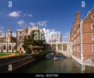 Unter der Seufzerbrücke Stechkahn fahren auf dem Fluss Cam am St. Johns College in Cambridge, Cambridgeshire, England, Vereinigtes Königreich Stockfoto