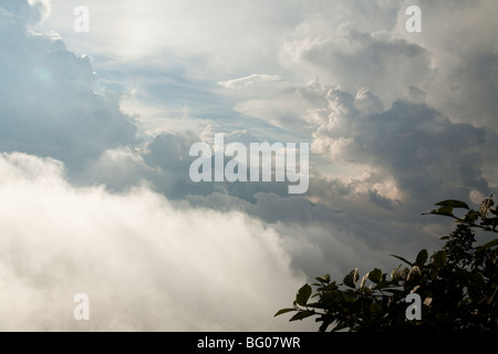 Agua Vulkan-Gipfel in dicken Wolken von Vulkans Pacaya gesehen. Nationalpark Vulkan Pacaya. Stockfoto