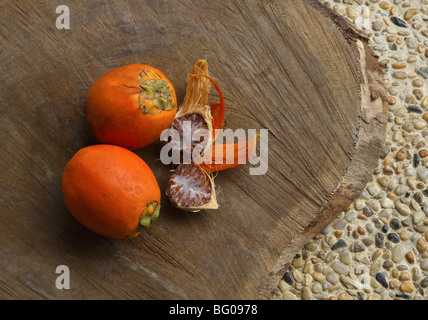 Betelnuss, berichtet, dass Anti-Parasiten, Abführmittel, erhöht es auch Herzfrequenz und Blutdruck, Indien Stockfoto