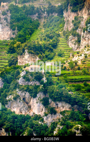 Amalfi Weinberge in den hohen Bergen der Amalfi Küste Bereich Stockfoto